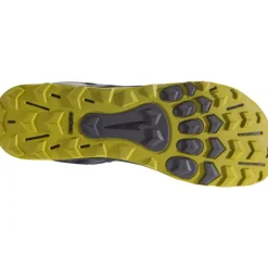 Running|Baskets*Altra Lone Peak All Weather Low